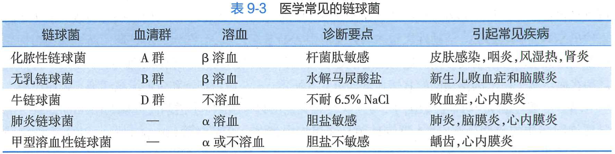 医学常见的链球菌.png