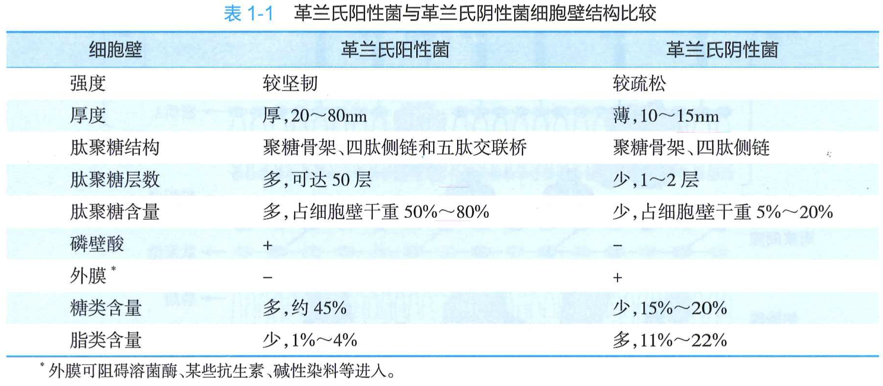 革兰氏阳性菌与革兰氏阴性菌细胞壁结构比较.png